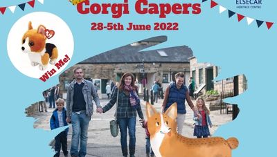 Corgi Capers - Free family trail